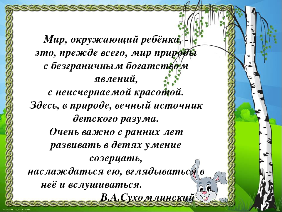 Презентация к проекту "Здравствуй, деревце!"