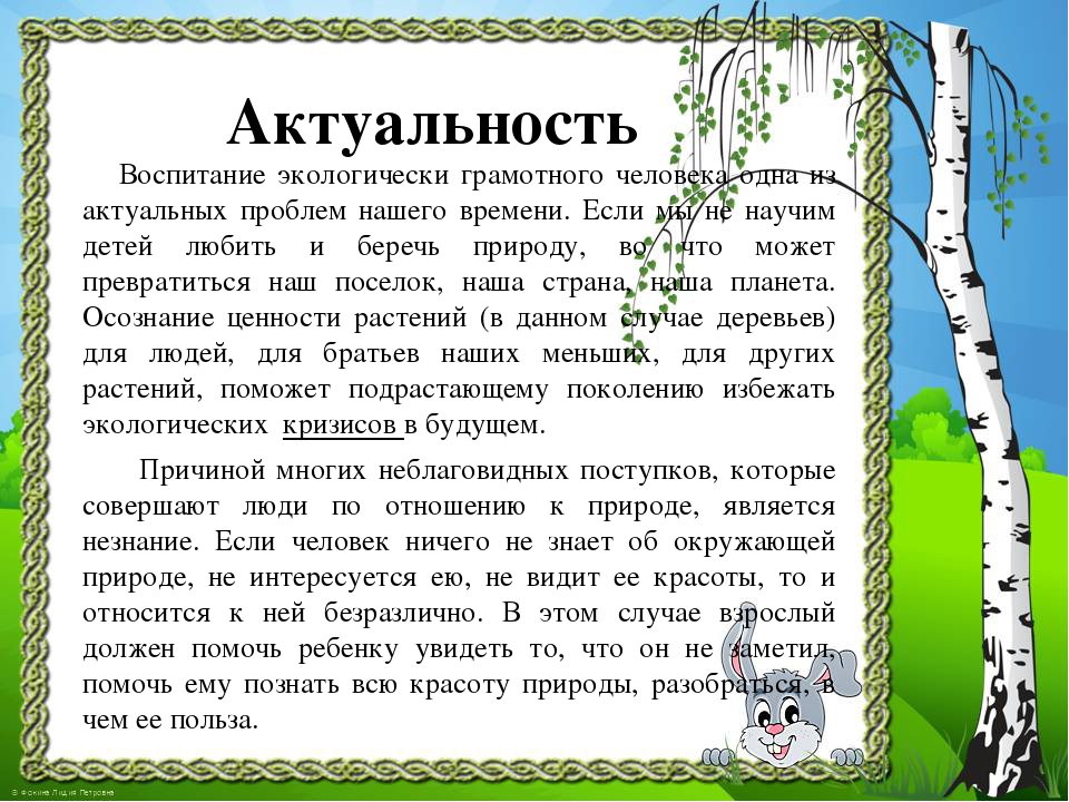 Презентация к проекту "Здравствуй, деревце!"
