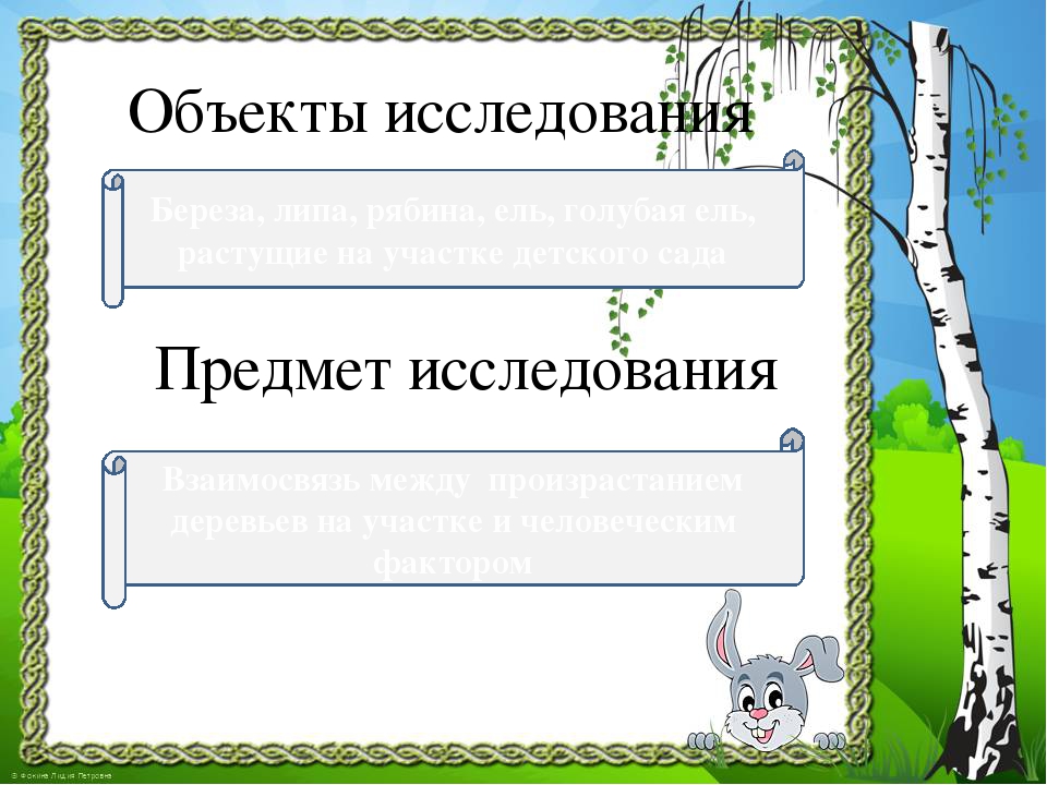 Презентация к проекту "Здравствуй, деревце!"