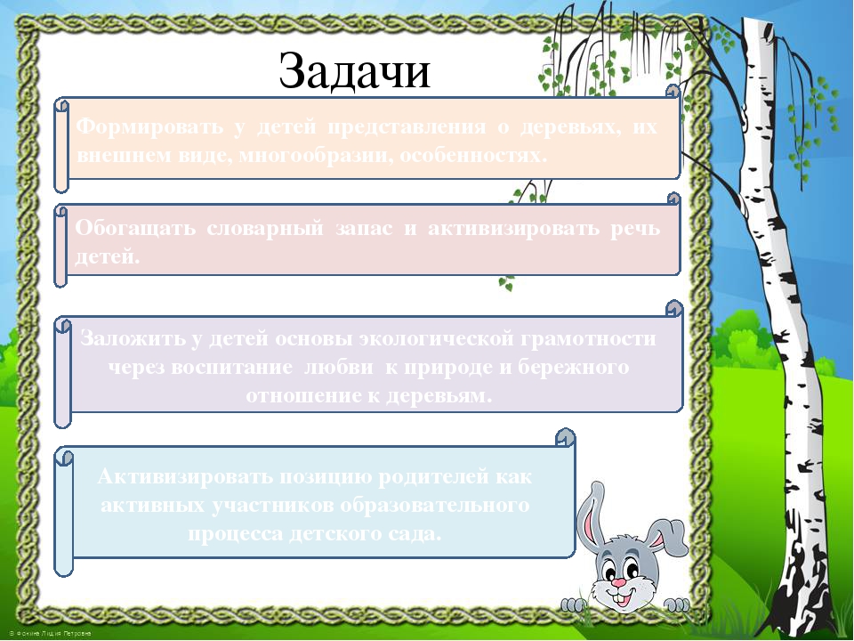 Презентация к проекту "Здравствуй, деревце!"