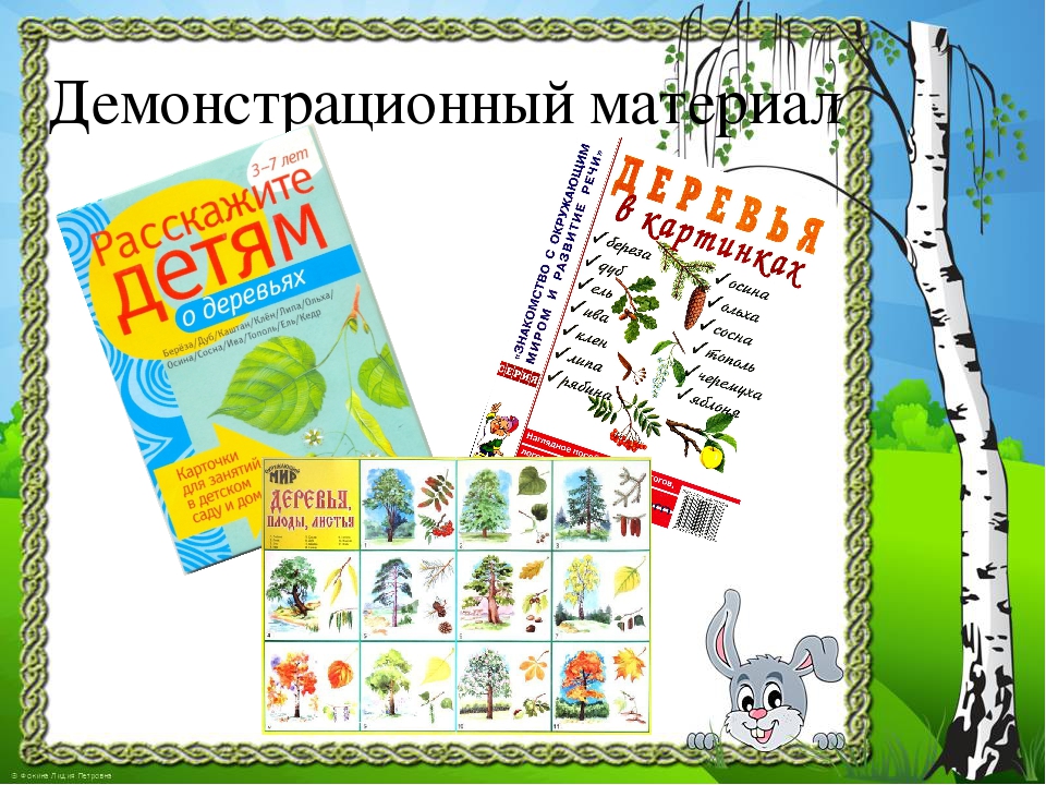 Презентация к проекту "Здравствуй, деревце!"