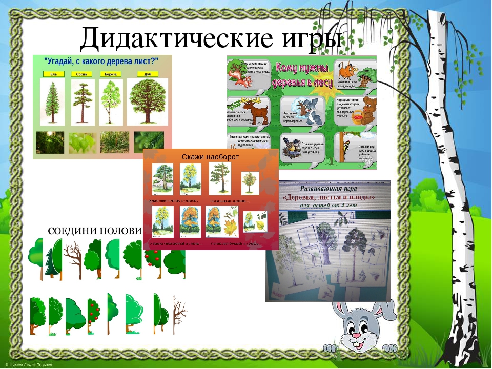 Презентация к проекту "Здравствуй, деревце!"