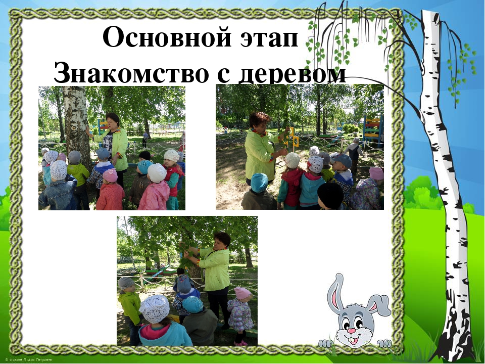 Презентация к проекту "Здравствуй, деревце!"