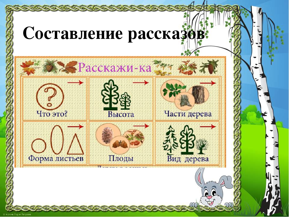 Презентация к проекту "Здравствуй, деревце!"