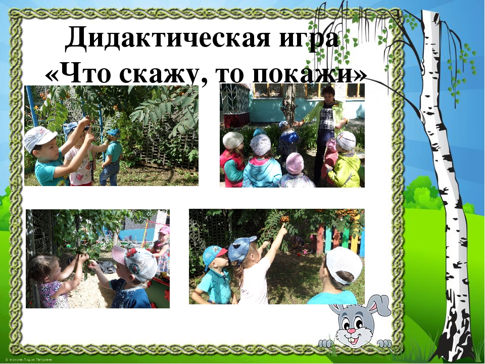 Презентация к проекту "Здравствуй, деревце!"
