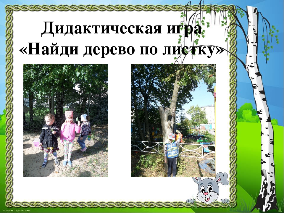 Презентация к проекту "Здравствуй, деревце!"