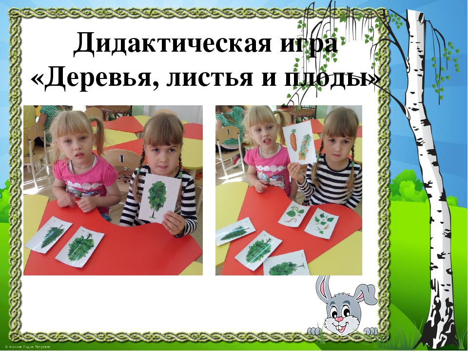 Презентация к проекту "Здравствуй, деревце!"