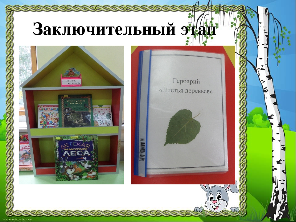 Презентация к проекту "Здравствуй, деревце!"
