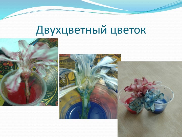 Призентация в подготовительной группе "Волшебница вода"