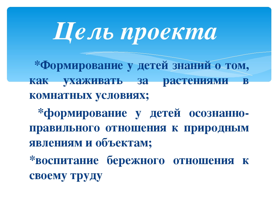 Презентация проекта "Огород на подоконнике"