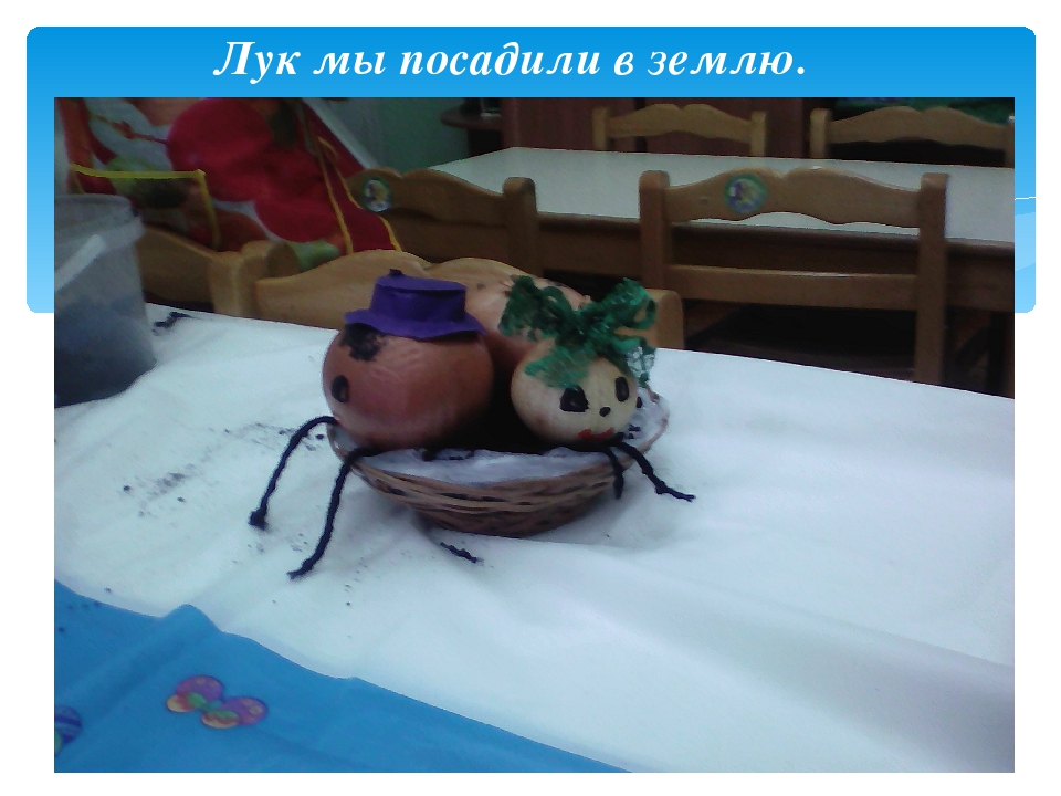 Презентация проекта "Огород на подоконнике"