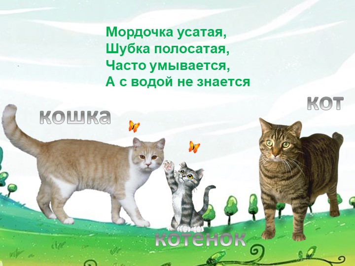 Презентация для детей дошкольного возраста "Домашние животные"