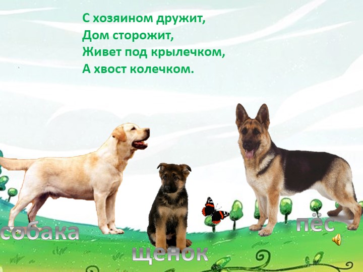 Презентация для детей дошкольного возраста "Домашние животные"
