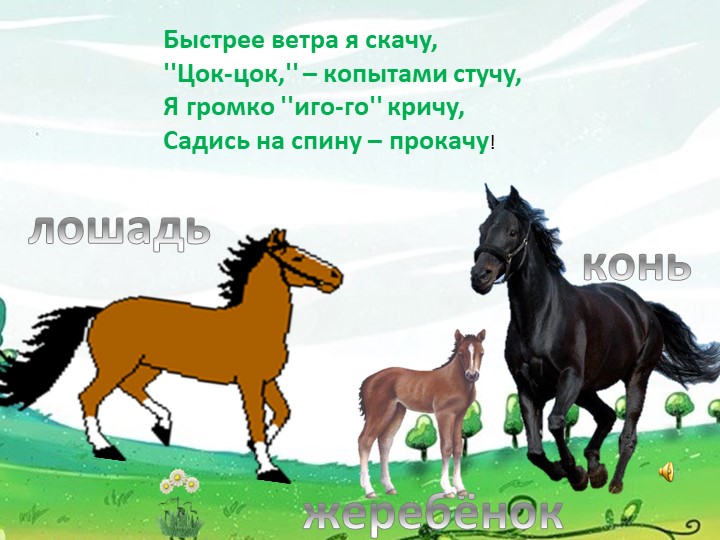 Презентация для детей дошкольного возраста "Домашние животные"
