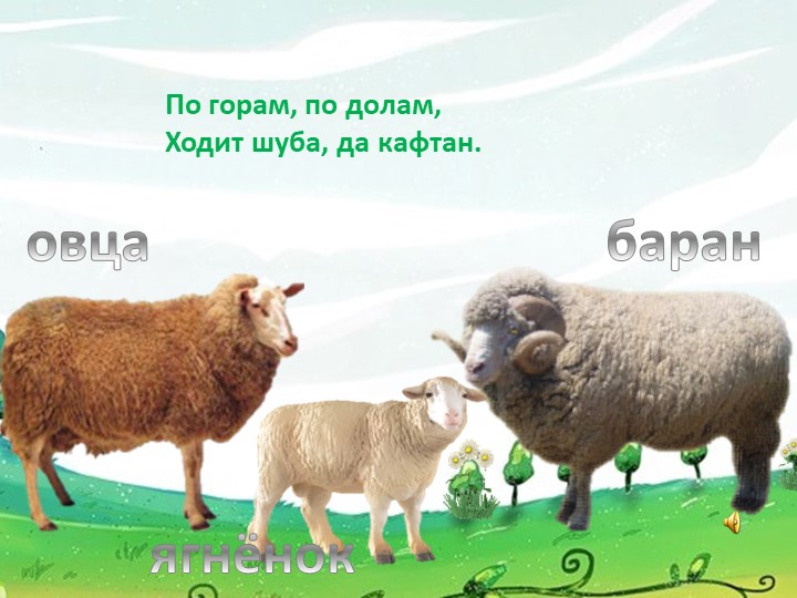 Презентация для детей дошкольного возраста "Домашние животные"