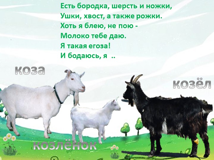 Презентация для детей дошкольного возраста "Домашние животные"
