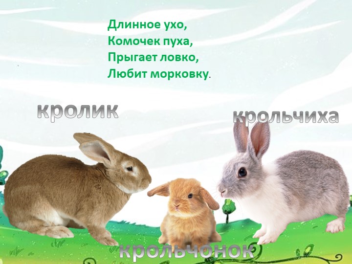 Презентация для детей дошкольного возраста "Домашние животные"