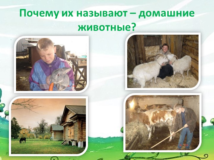 Презентация для детей дошкольного возраста "Домашние животные"