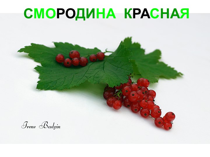 Презентация для детей дошкольного возраста "Ягоды"