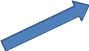 Shape19