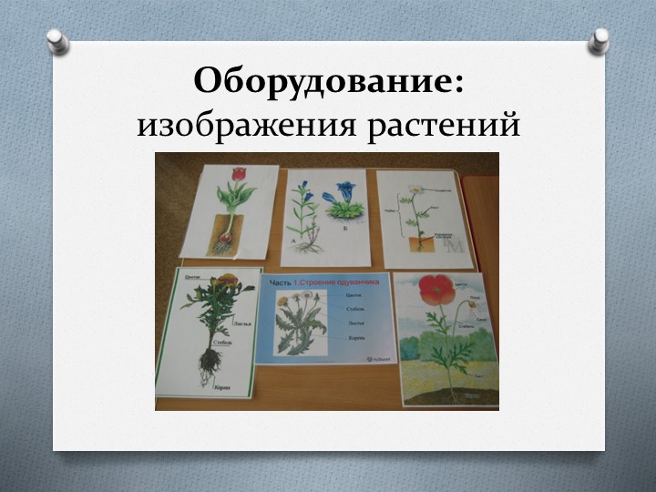 Презентация дидактическая игра "Собери цветок"