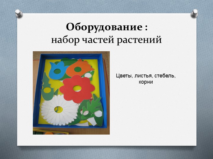 Презентация дидактическая игра "Собери цветок"