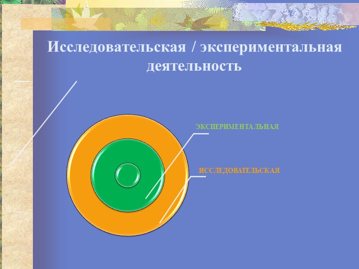 Презентация "Организация исследовательской деятельности"