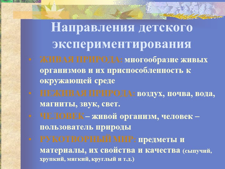 Презентация "Организация исследовательской деятельности"