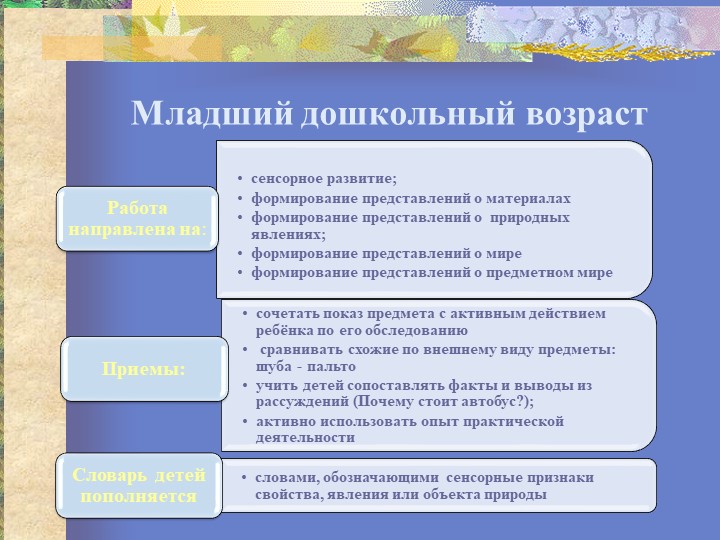 Презентация "Организация исследовательской деятельности"