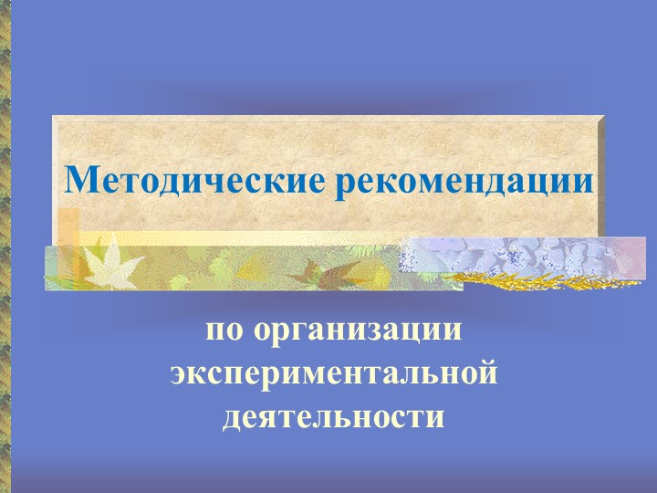 Презентация "Организация исследовательской деятельности"