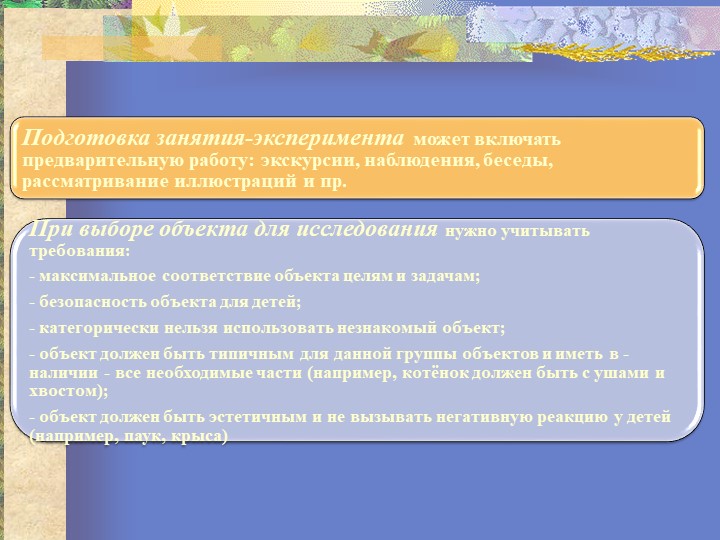 Презентация "Организация исследовательской деятельности"
