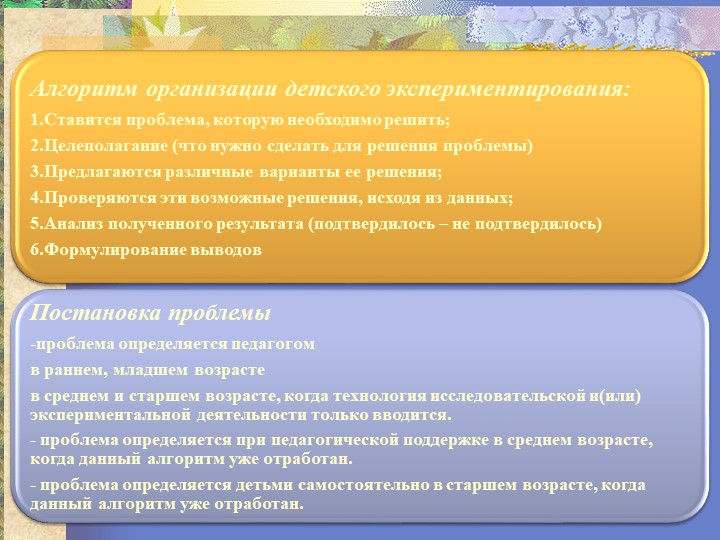Презентация "Организация исследовательской деятельности"