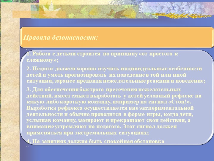 Презентация "Организация исследовательской деятельности"