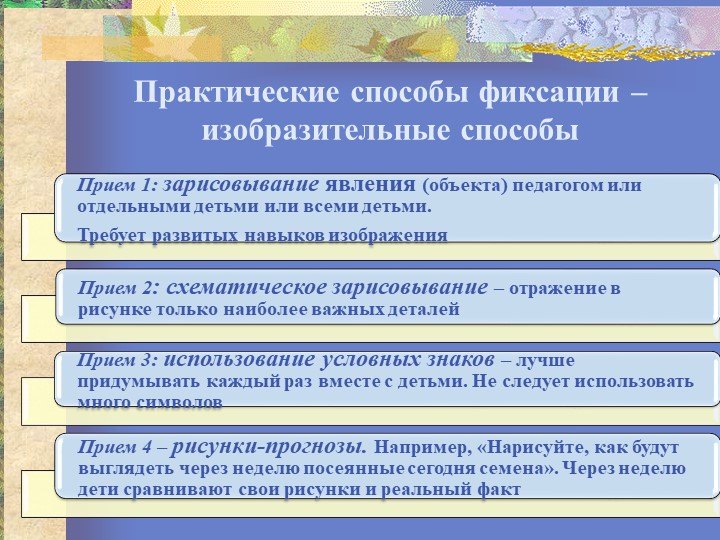 Презентация "Организация исследовательской деятельности"