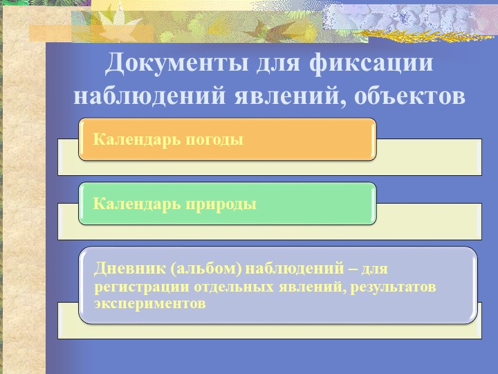 Презентация "Организация исследовательской деятельности"