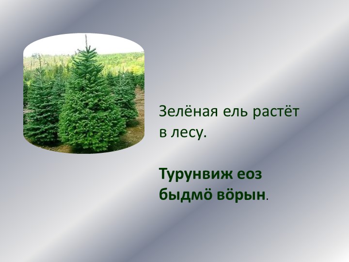 Дидактическая игра по обучению цветов на коми языке