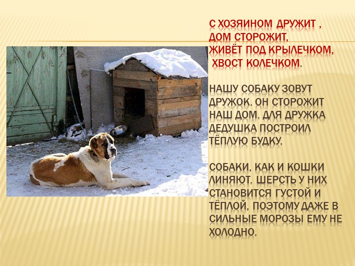Презентация - занятие в средней группе "Осень в деревне"
