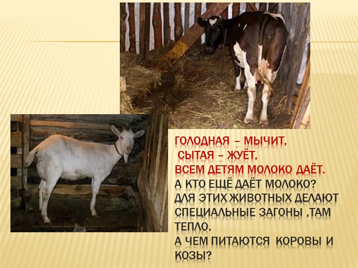 Презентация - занятие в средней группе "Осень в деревне"