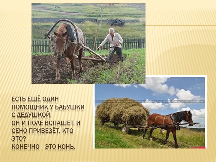 Презентация - занятие в средней группе "Осень в деревне"