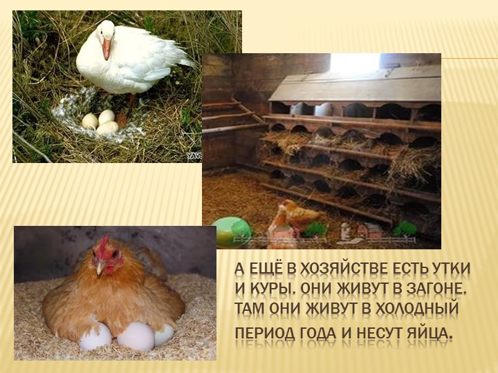 Презентация - занятие в средней группе "Осень в деревне"