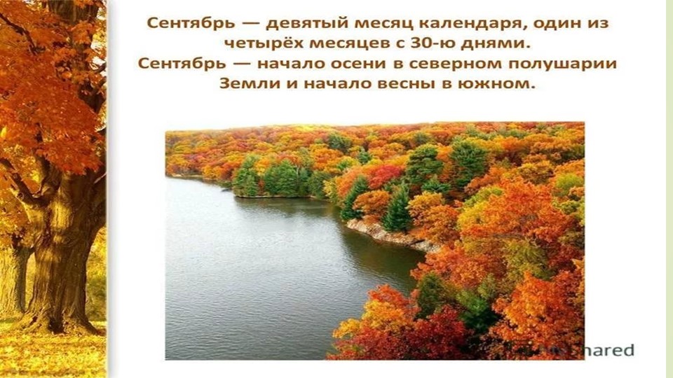 Презентация по ознакомплению с окружающим миром на тему "Осень. Листопад".