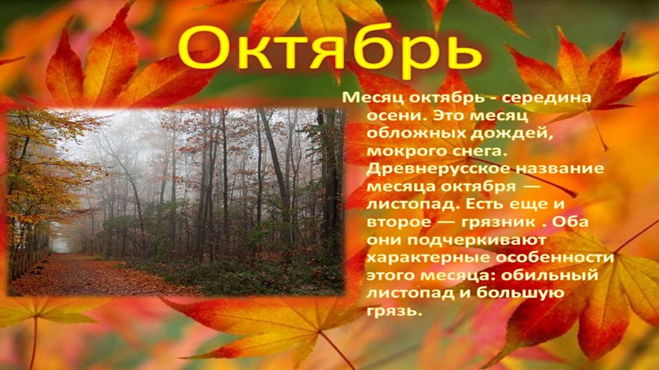 Презентация по ознакомплению с окружающим миром на тему "Осень. Листопад".