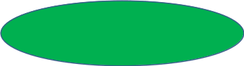 Овал 33