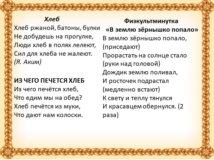 Проект в старшей группе "Хлеб всему голова"