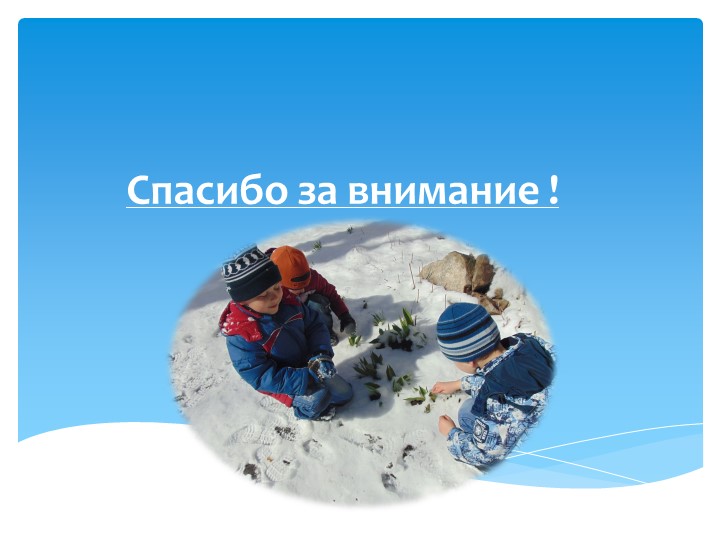 Организация экспериментально-исследовательской деятельности дошкольников.