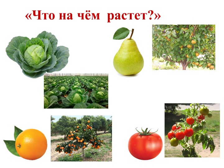 Интерактивная игра "Овощи и фрукты"