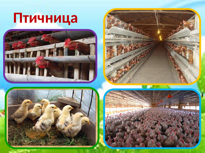 Таблицы к ознакомлению с окружающим миром. Презентация