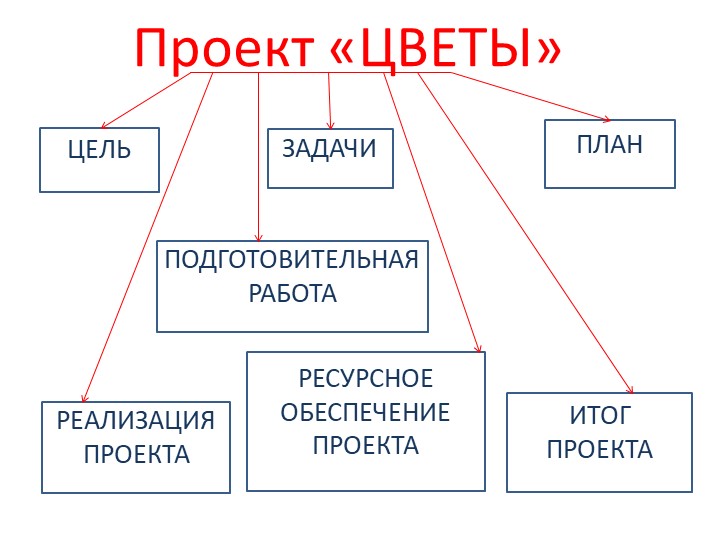 Проект на тему: "Цветы" в старшей группе