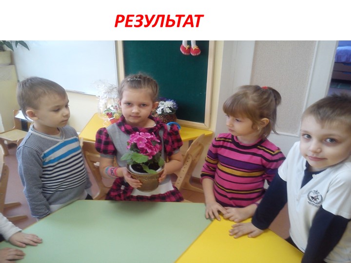 Проект на тему: "Цветы" в старшей группе