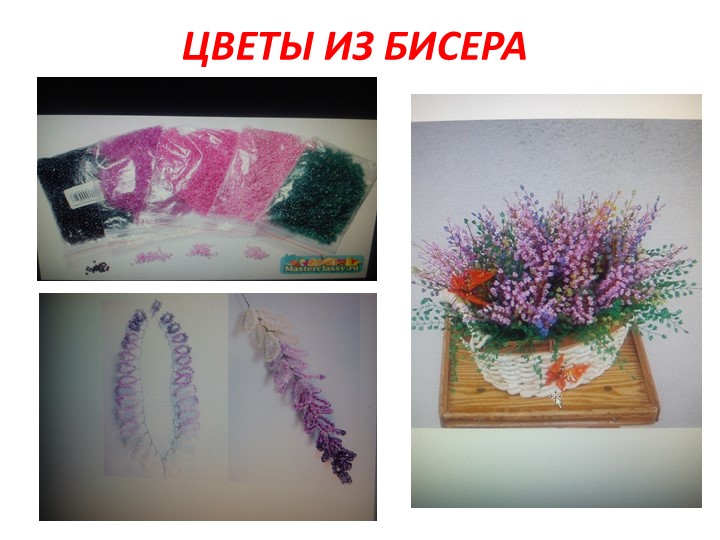 Проект на тему: "Цветы" в старшей группе
